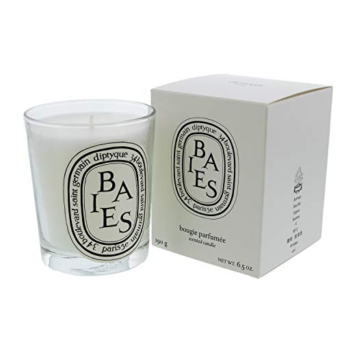 6.5 oz Diptyque Baies Candle